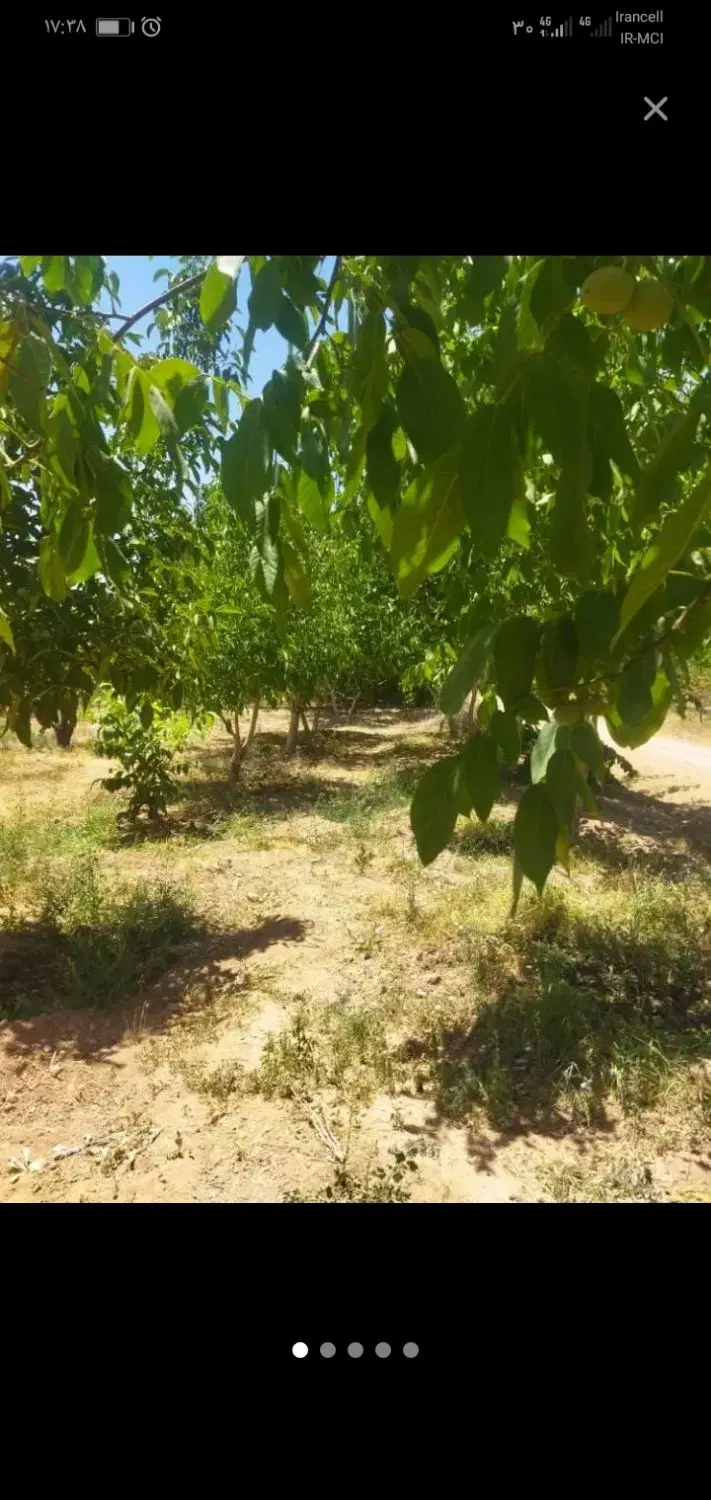 فروش باغ در قلعه سفید