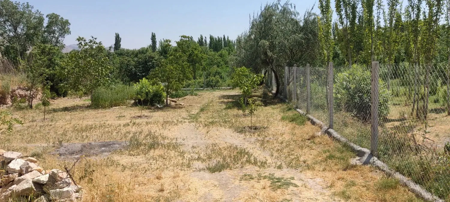 فروش باغ انگور