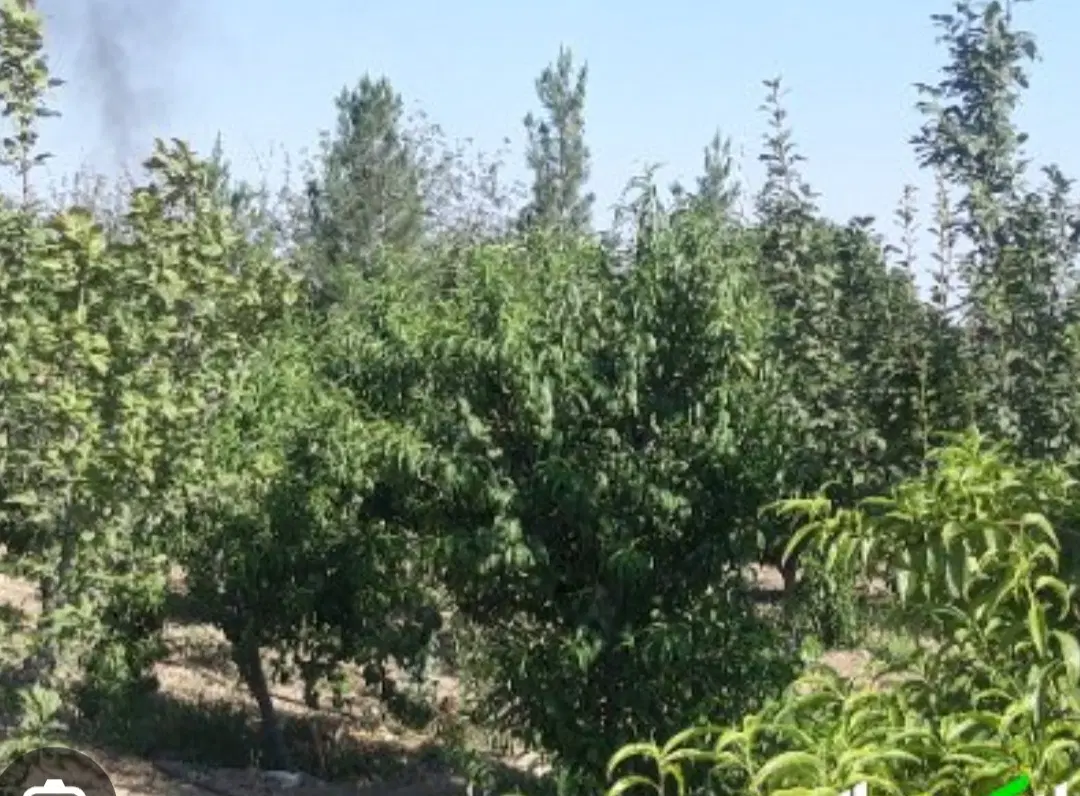 باغچه ۲۷۰متری در باغچه هیراد