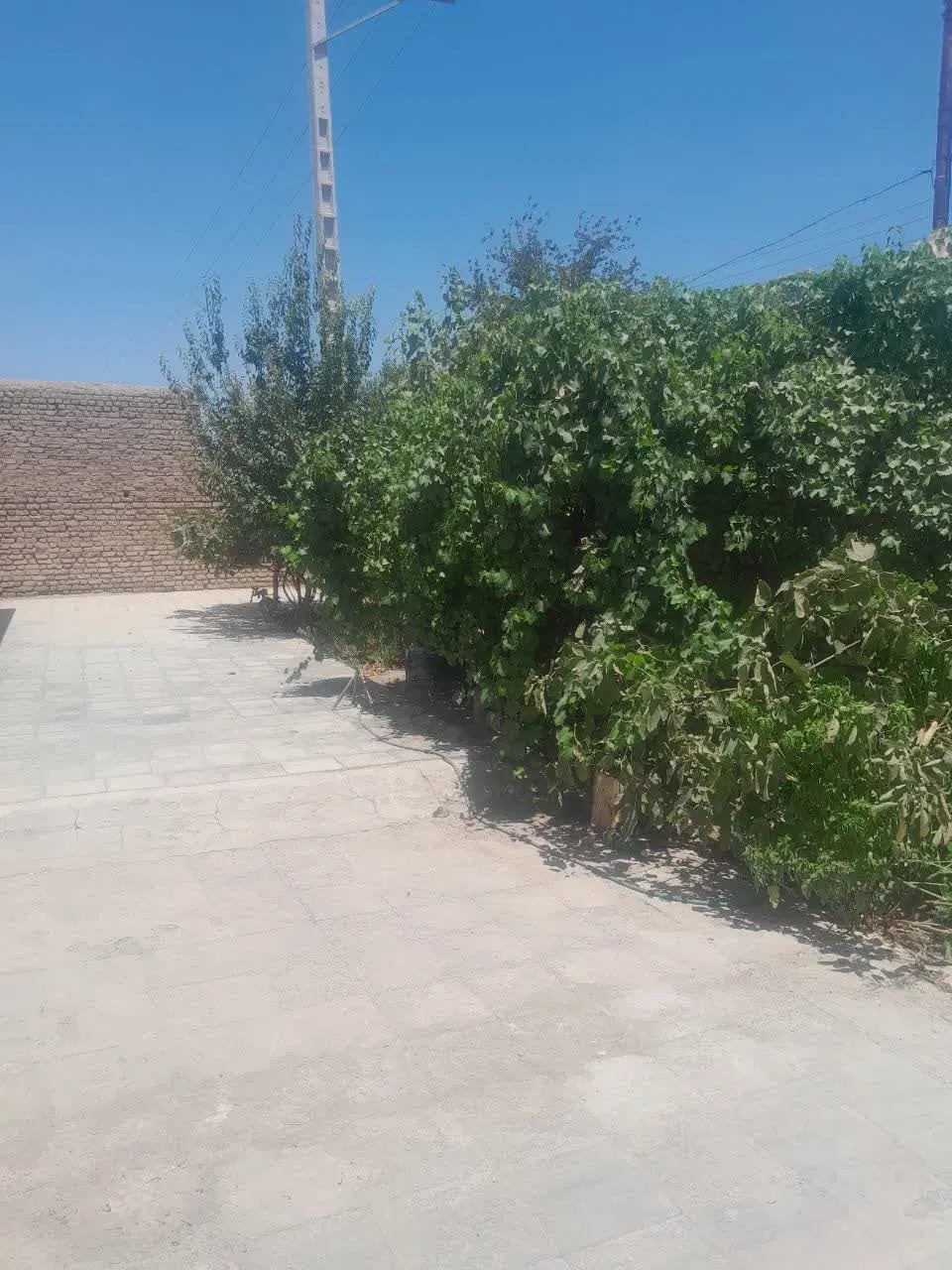 خانه فروشی