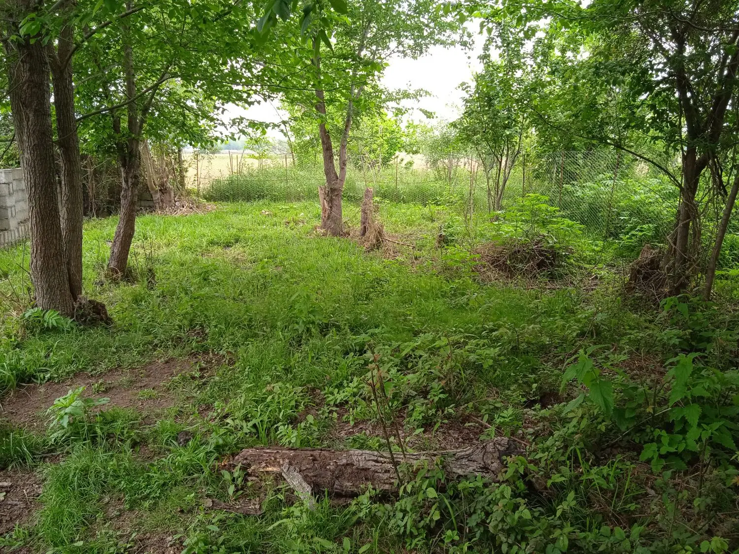 فروش زمین