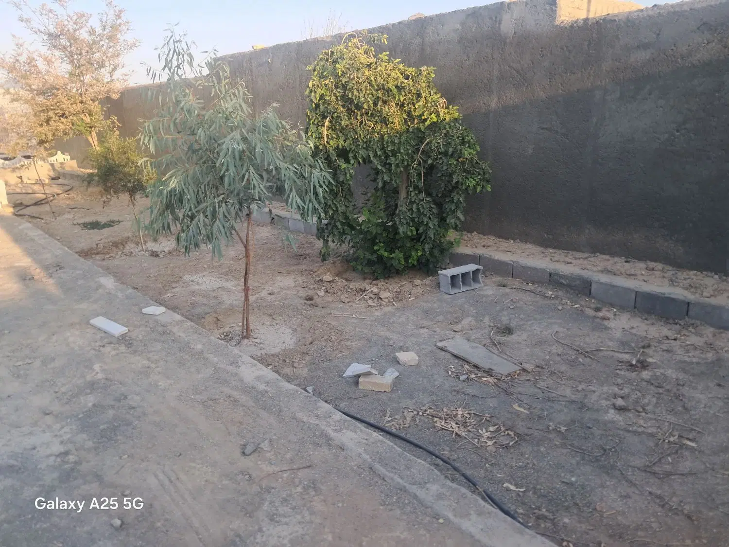 باغ آماده
