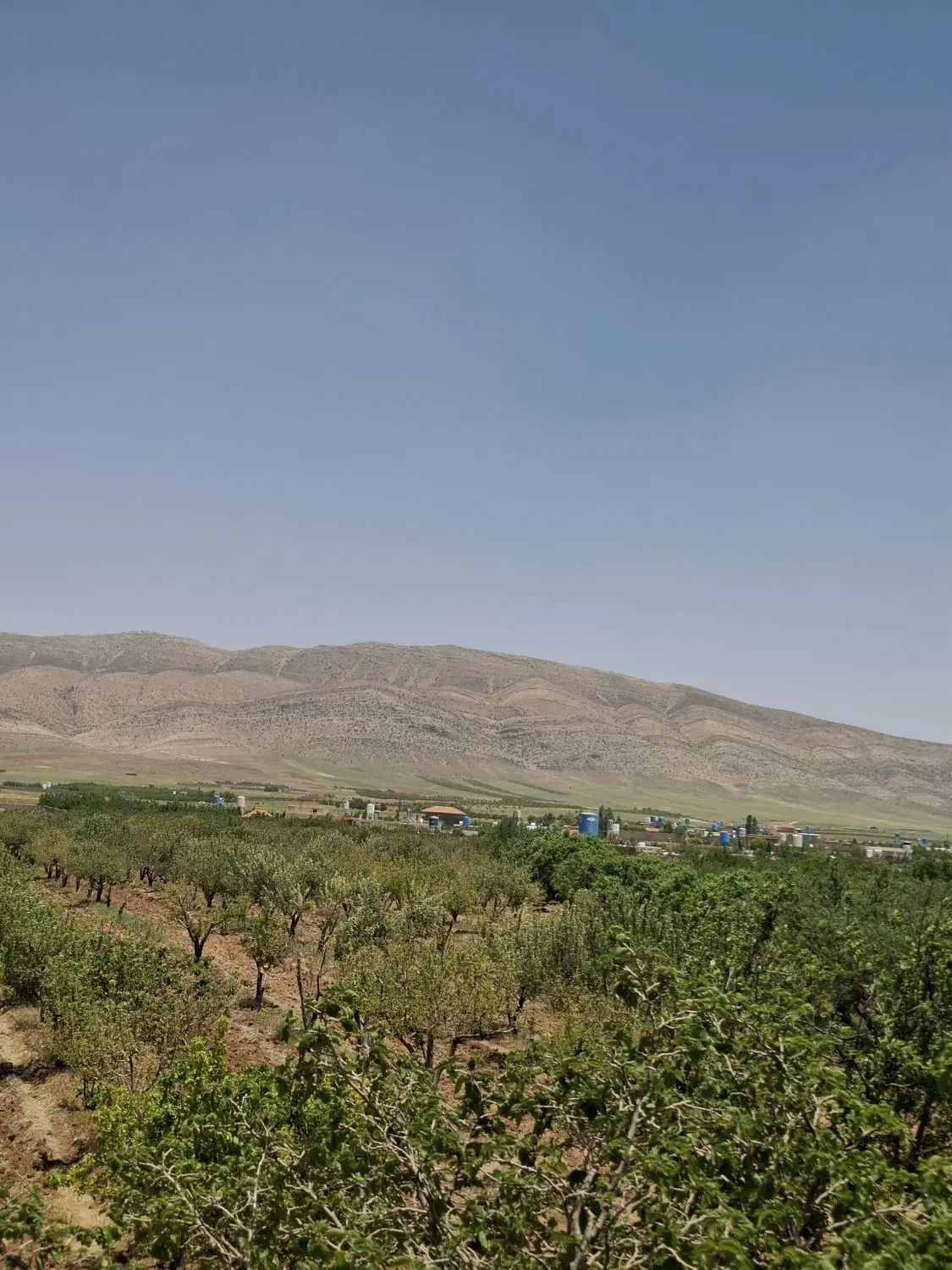 باغ هزار متری کودیان ( آبپرده )