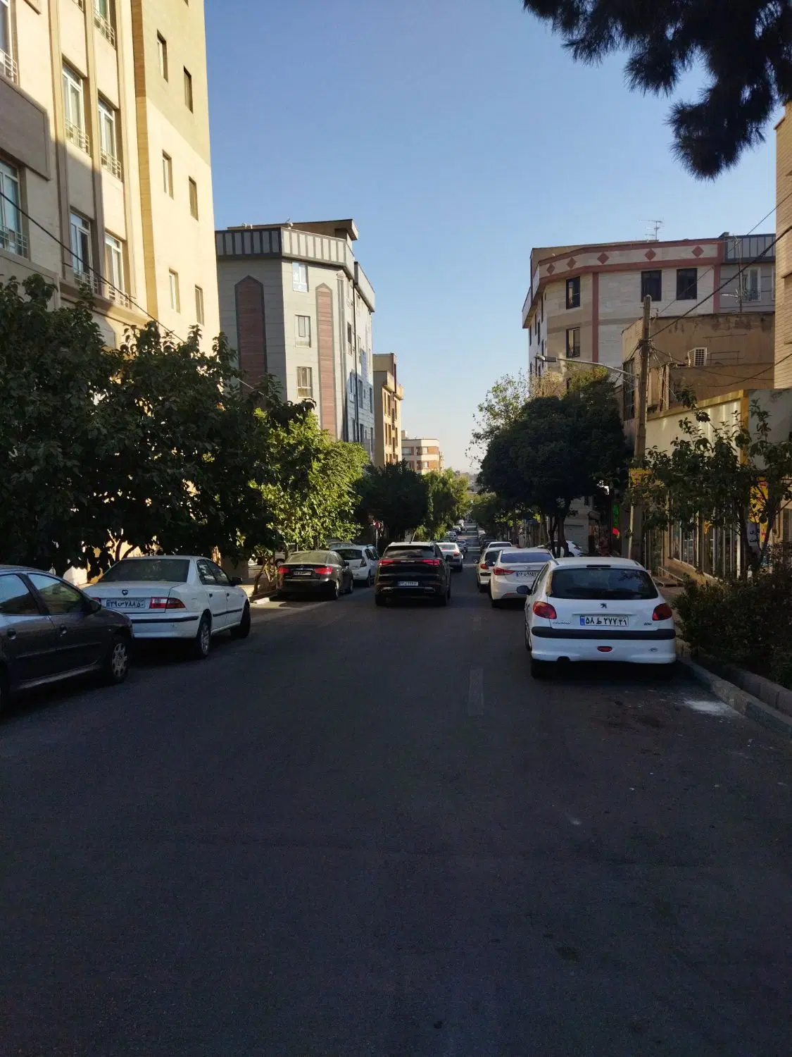 همخونه خانم میخام