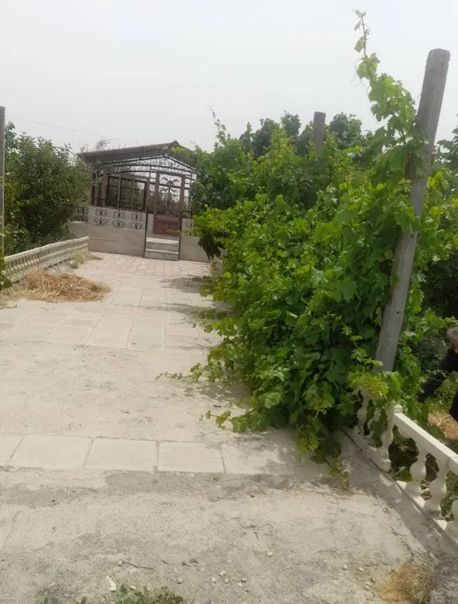 باغچه ۴۰۰ متری