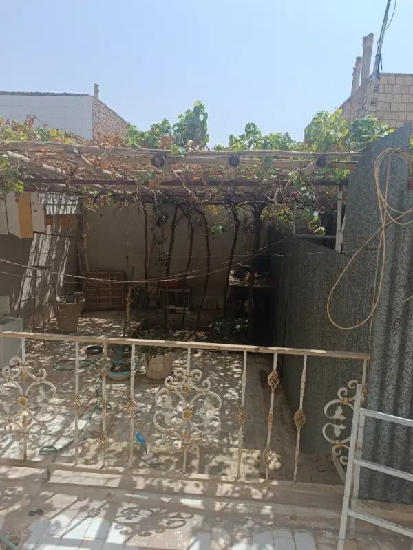 زیر زمین اجاره