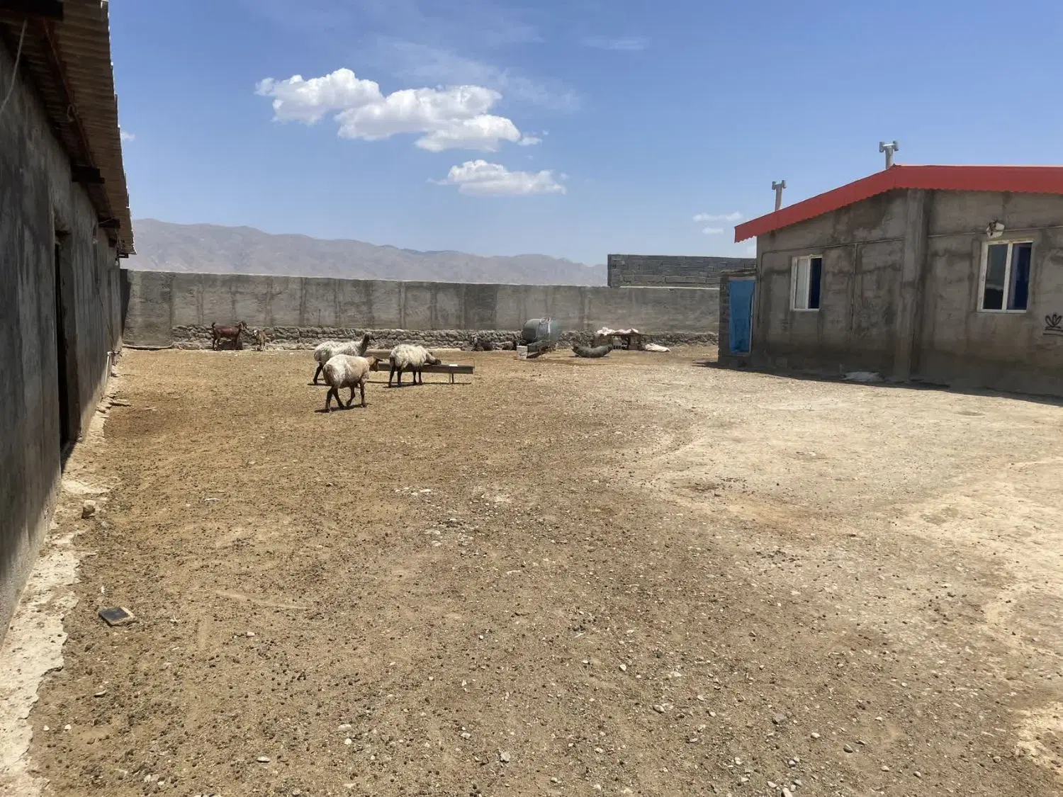 دامداری فروشی با خونه