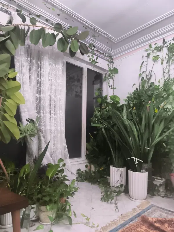 آپارتمان ۱۱۰متری خیابان کوهستان