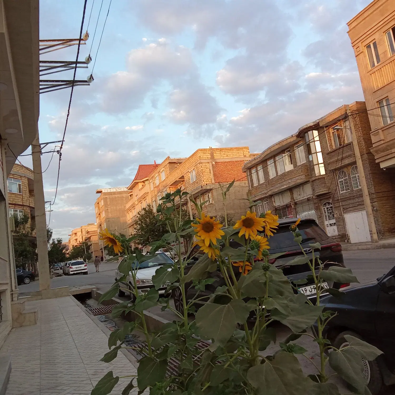 اجاره مغازه در شهرک شاهد