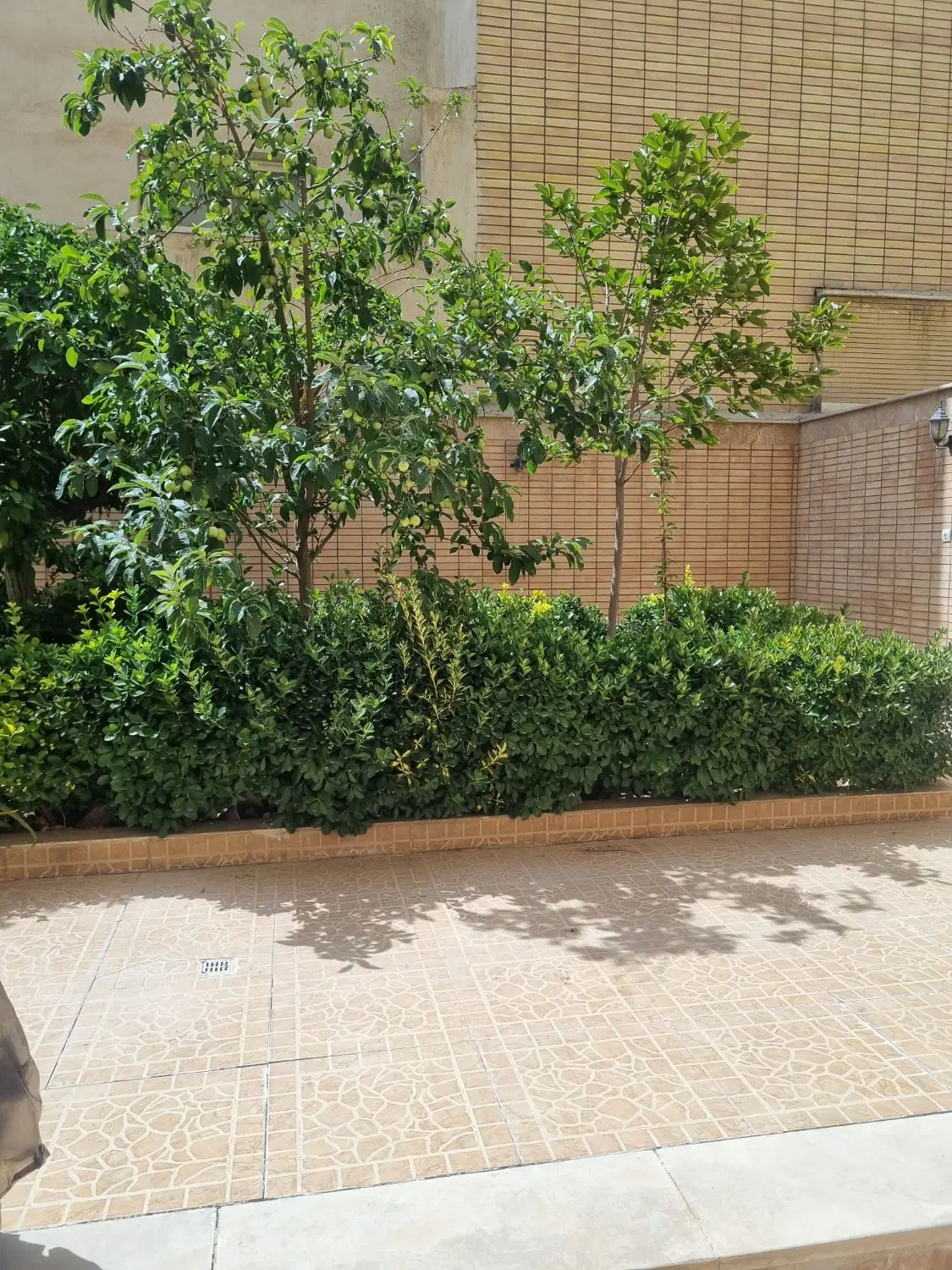 آپارتمان همکف با حیاط اختصاصی خ.دشتستان