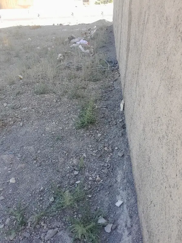 باغچه چهاردیواری بادرختان بارده وسند