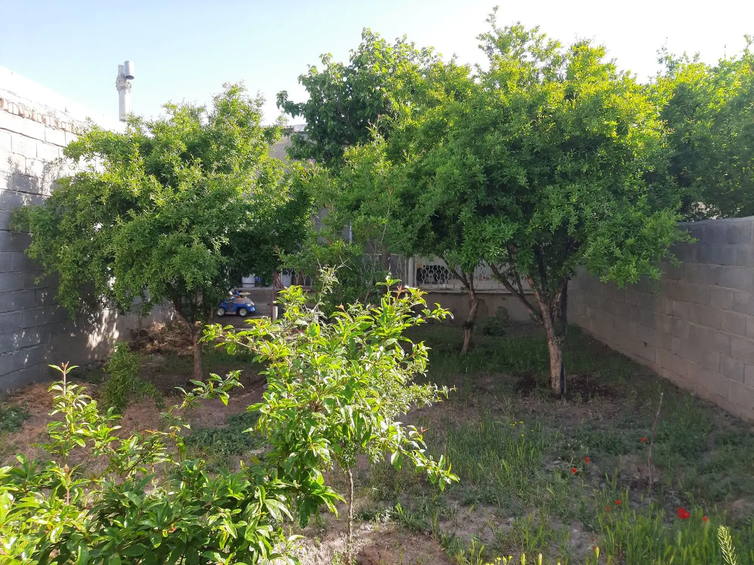 خانه ویلایی