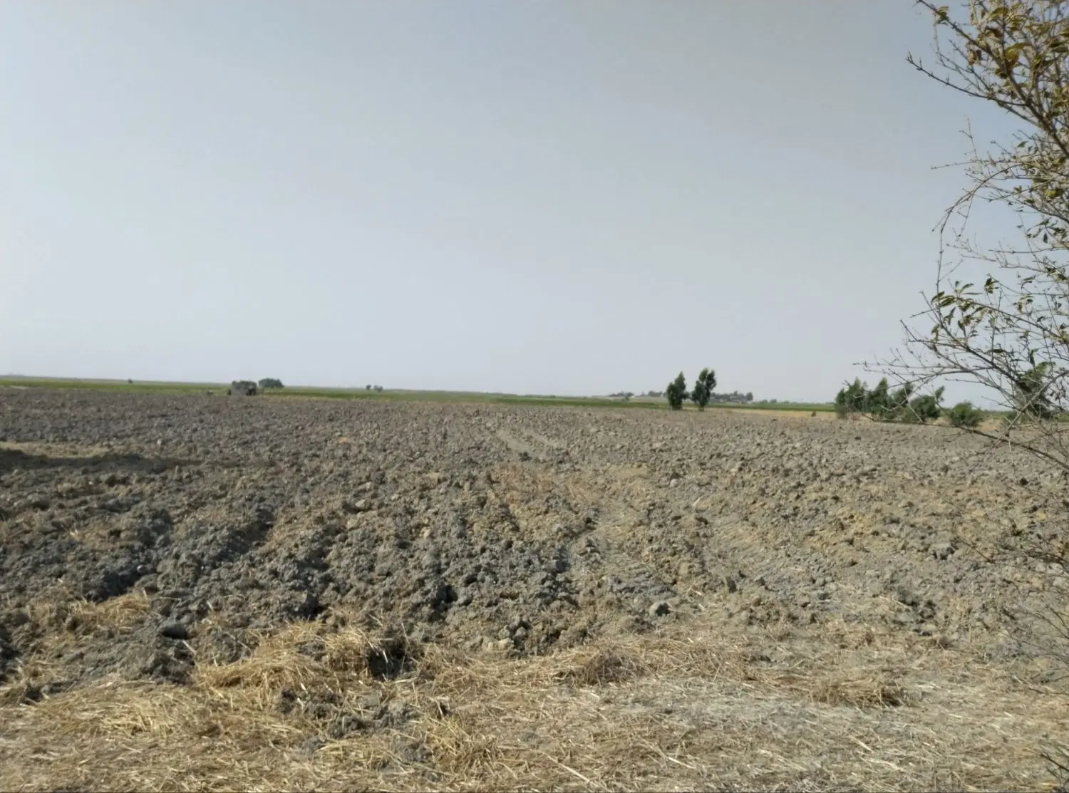 زمین کشاورزی