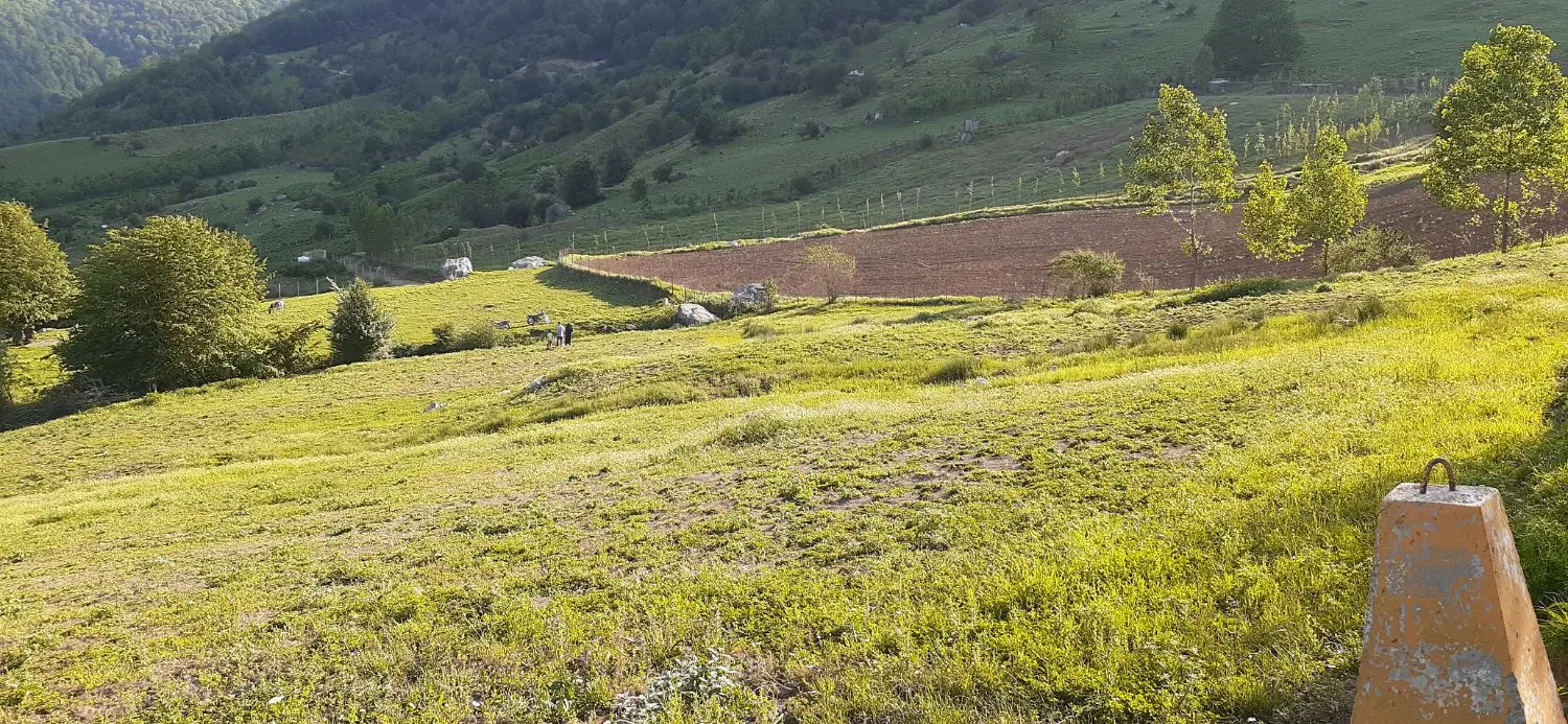 زمین در پاقلعه هم مسکونی هم باغی