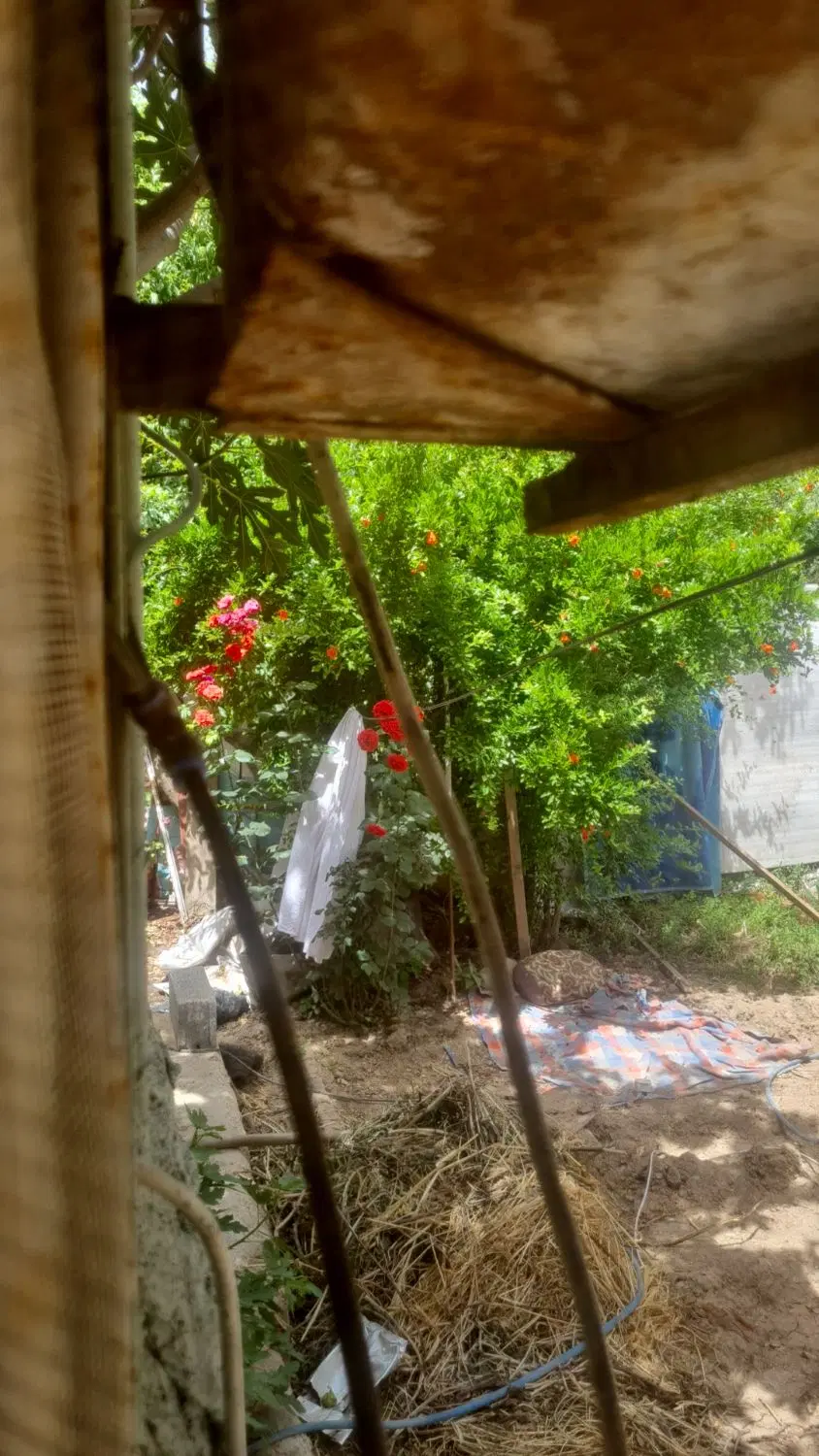 زمین مشاع