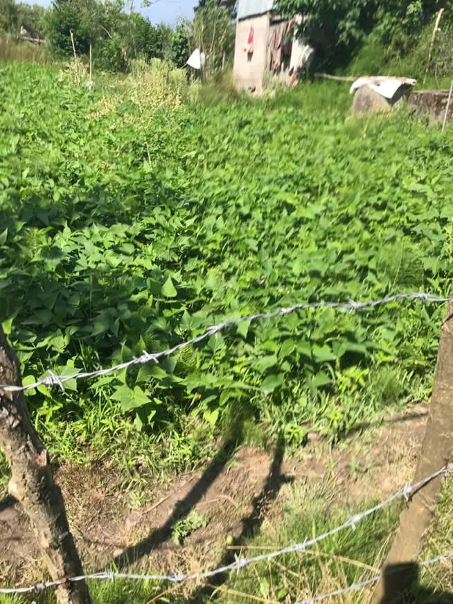 زمین کشاورزی وباغی و مسکونی