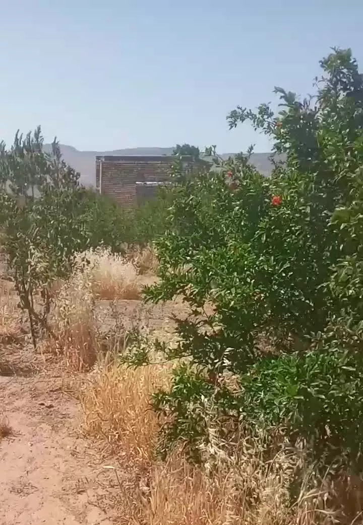 فروش باغچه در حومه ساوه