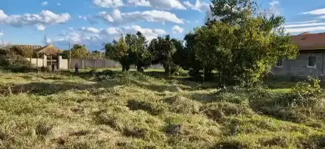 زمین مسکونی بر آسفالت دوبر  با لوکیشن فوقلاده