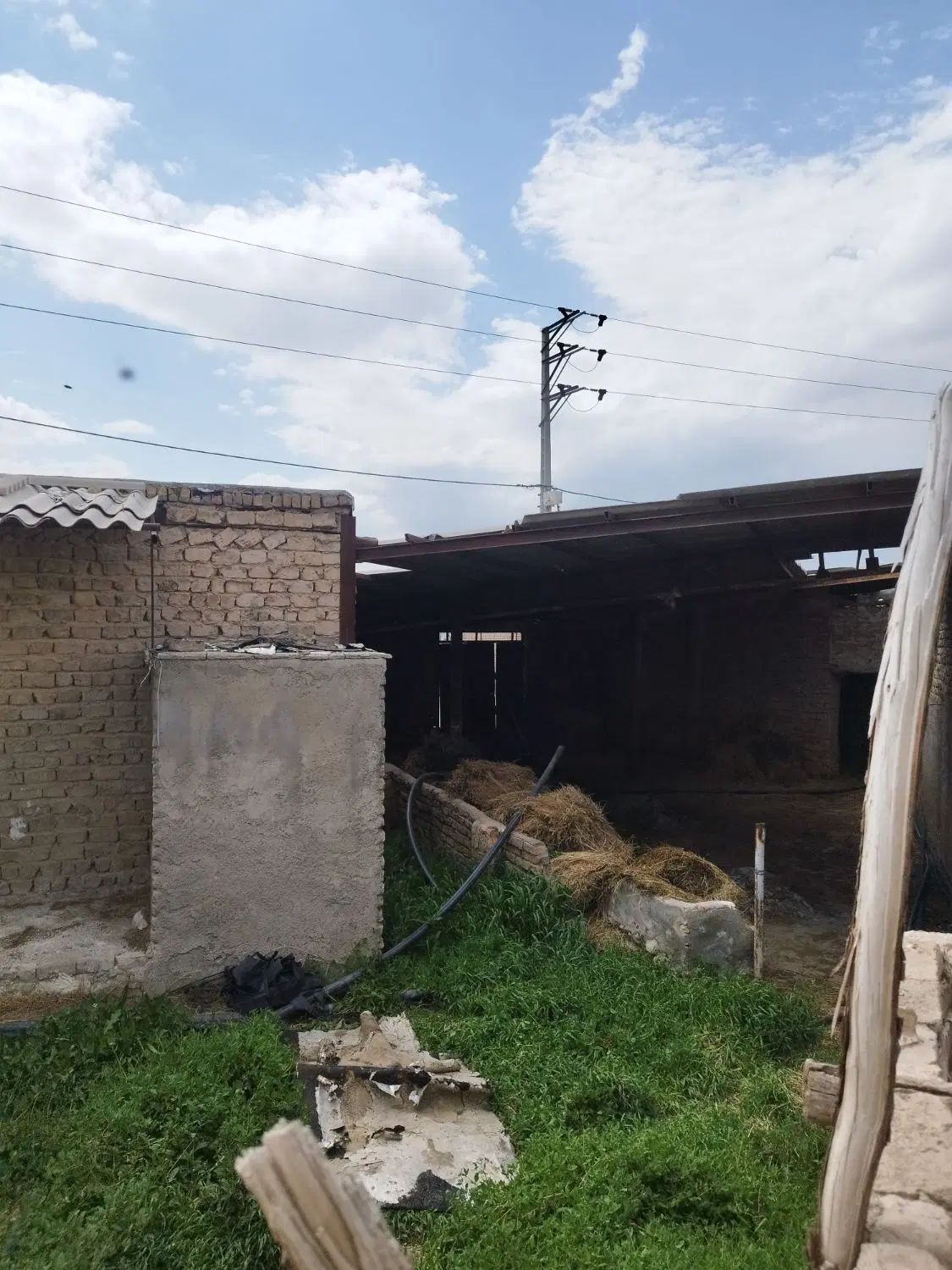 دامداری