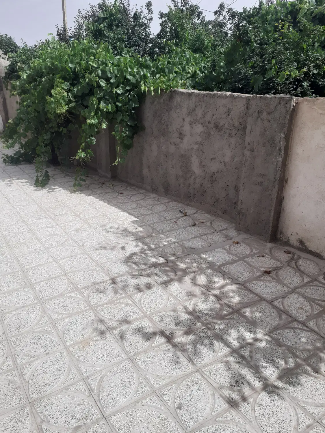 فروش ملک