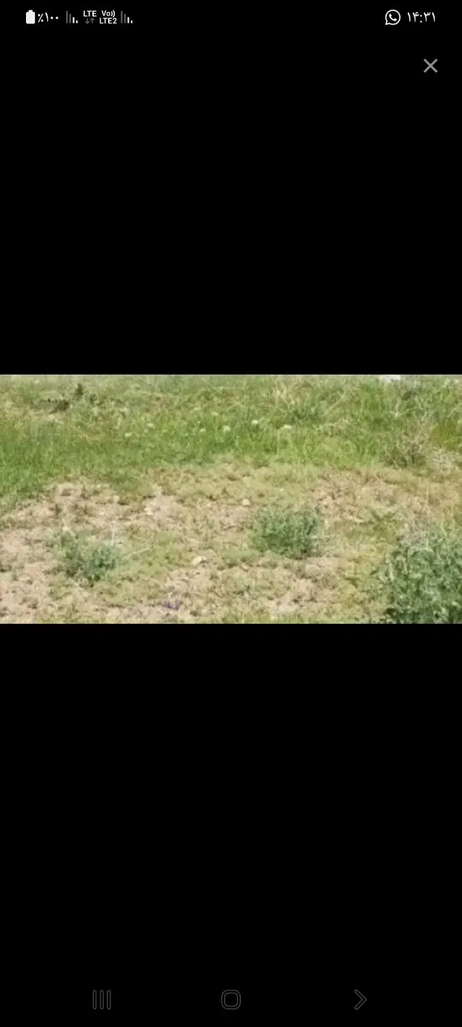 فروش زمین مسکونی روستای کهباد