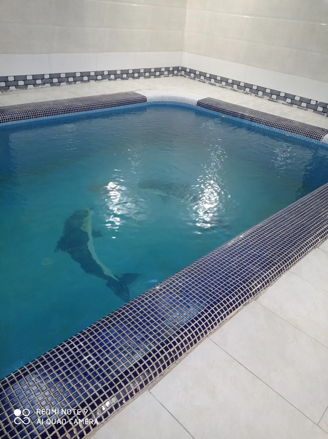 باغچه ویلا درشهریار