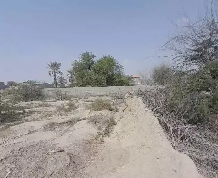 زمین کلنگی