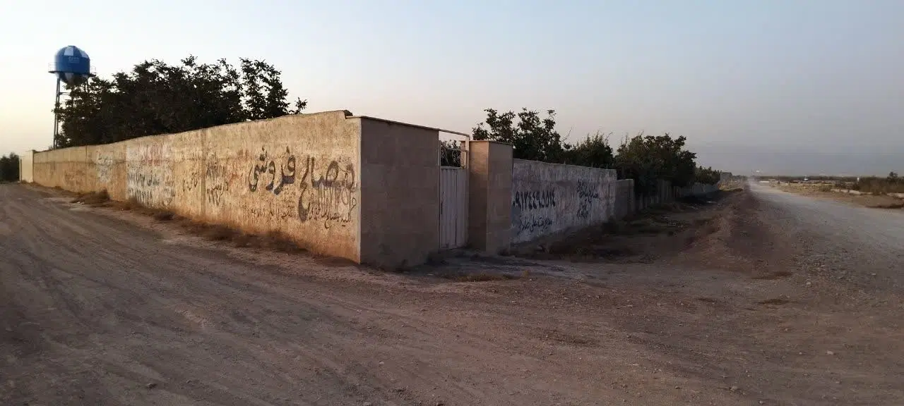 تهاتر باغ مثمر ۱۵ ساله با زمین شالیزار