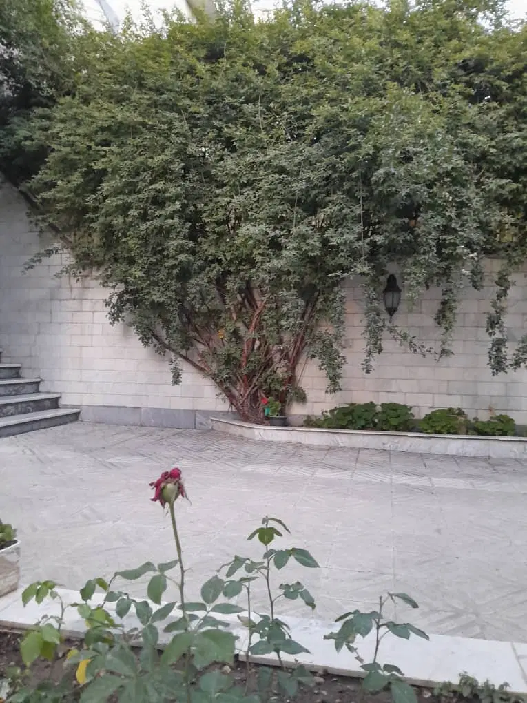 سوئیت ۳۰ متری فقط خانم