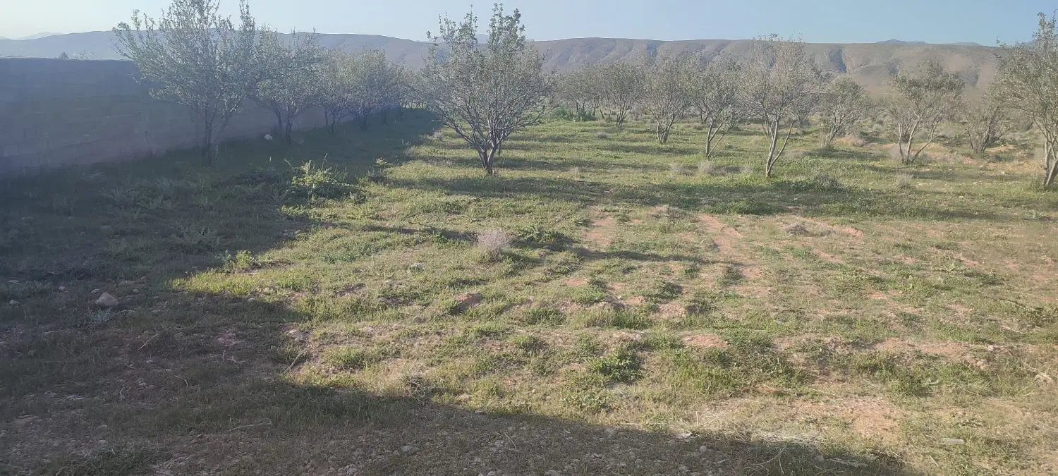 فروش باغ شهری