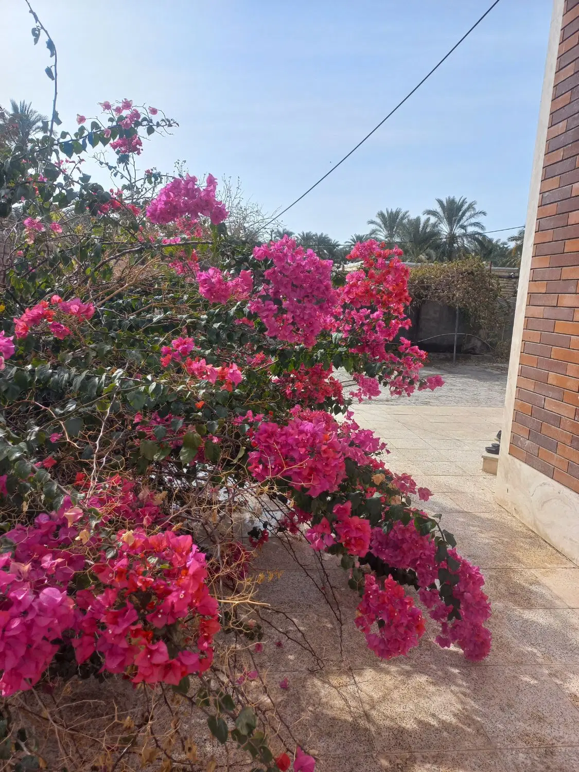 اجاره یا رهن منزل مسکونی