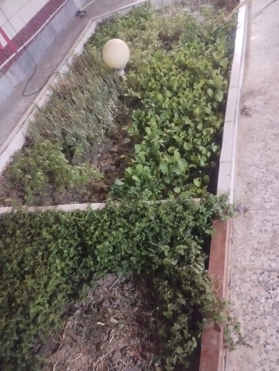 خونه ویلایی