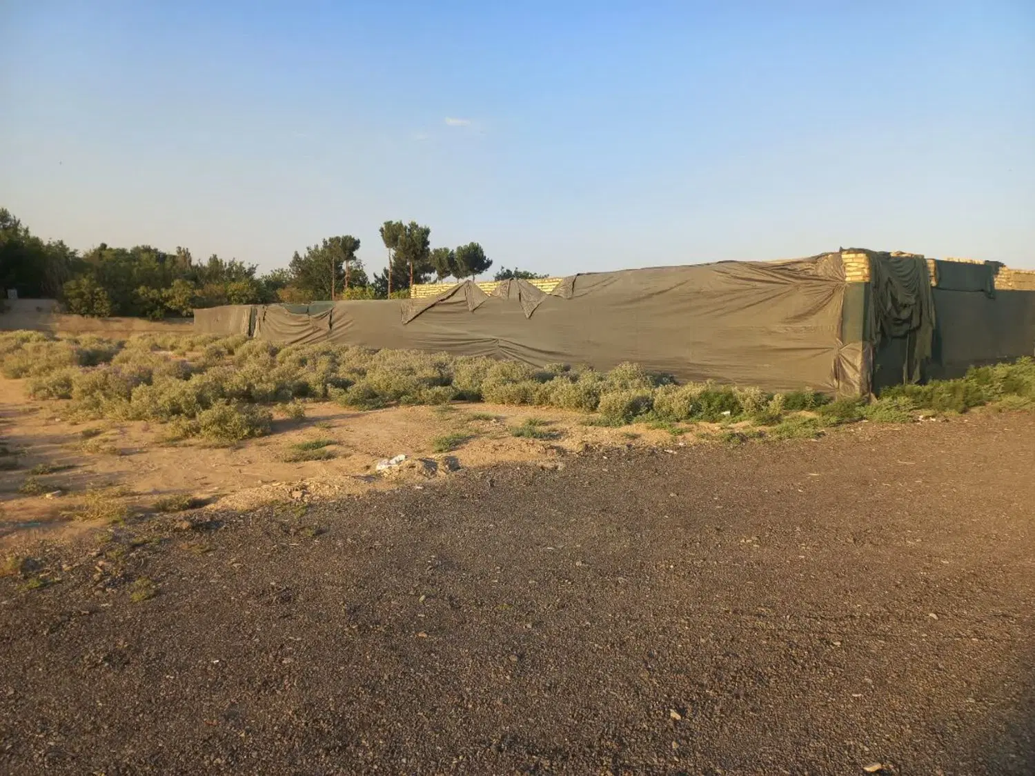 زمین باغچه