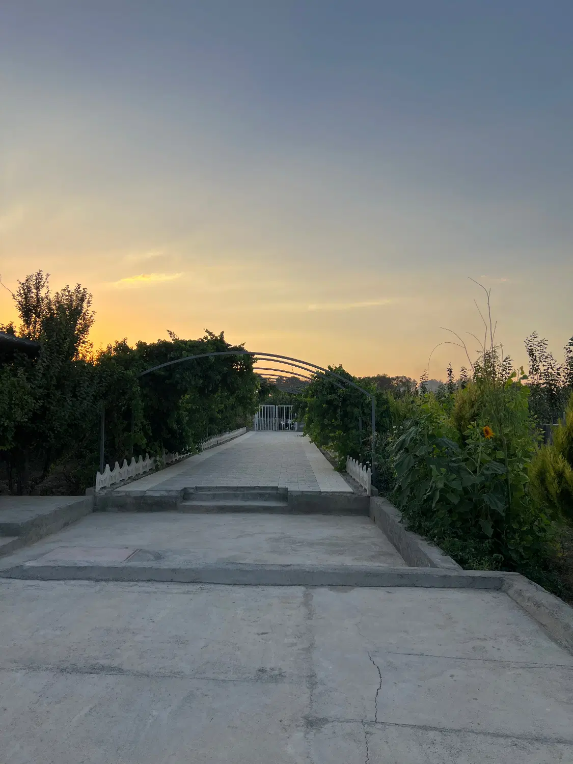 باغ یوسف رضا