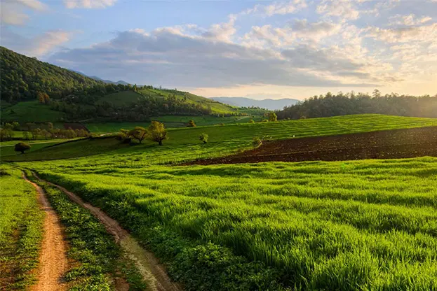 زمین