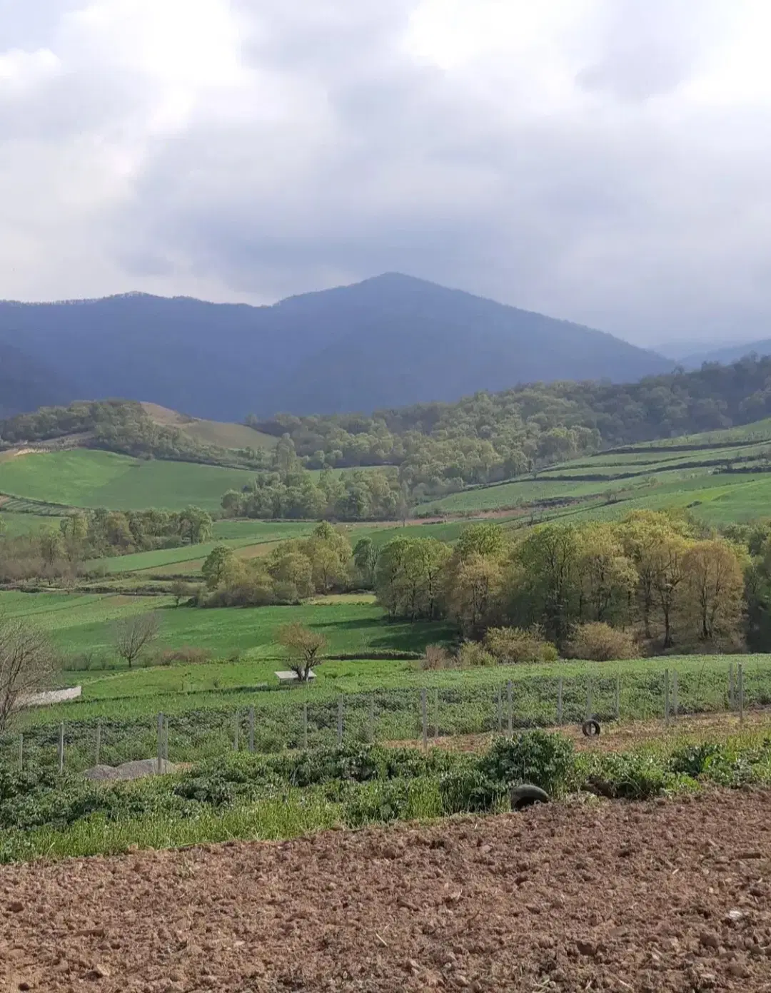 زمین باغی روستای نومل