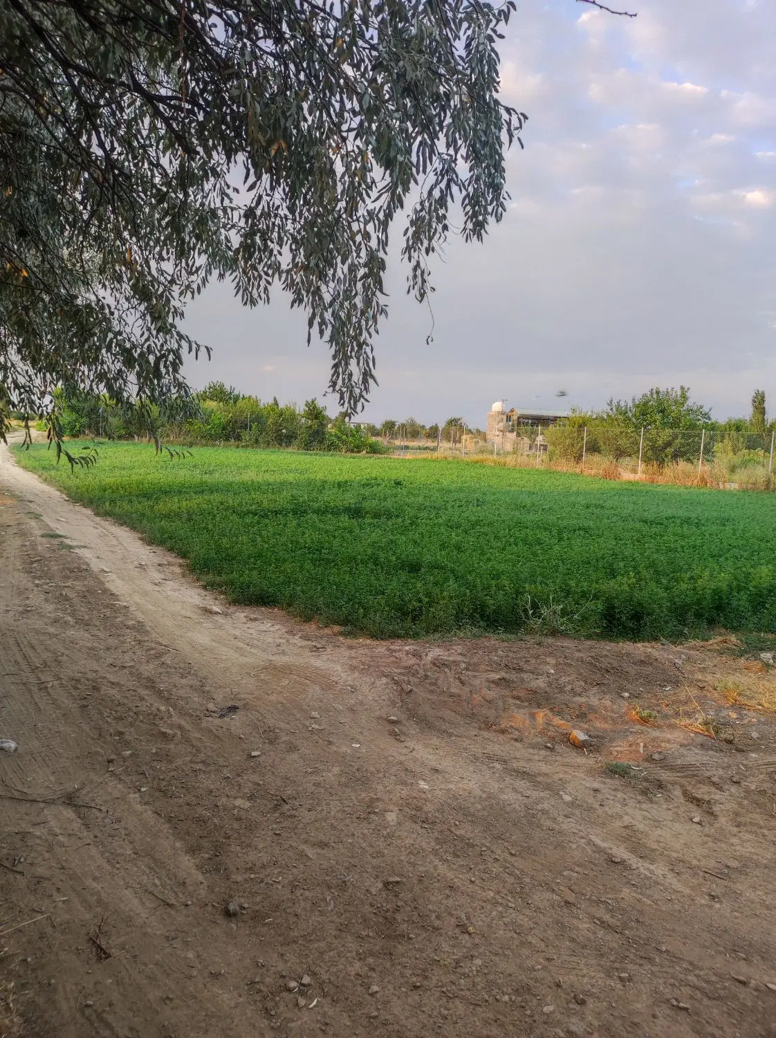 فروش زمین