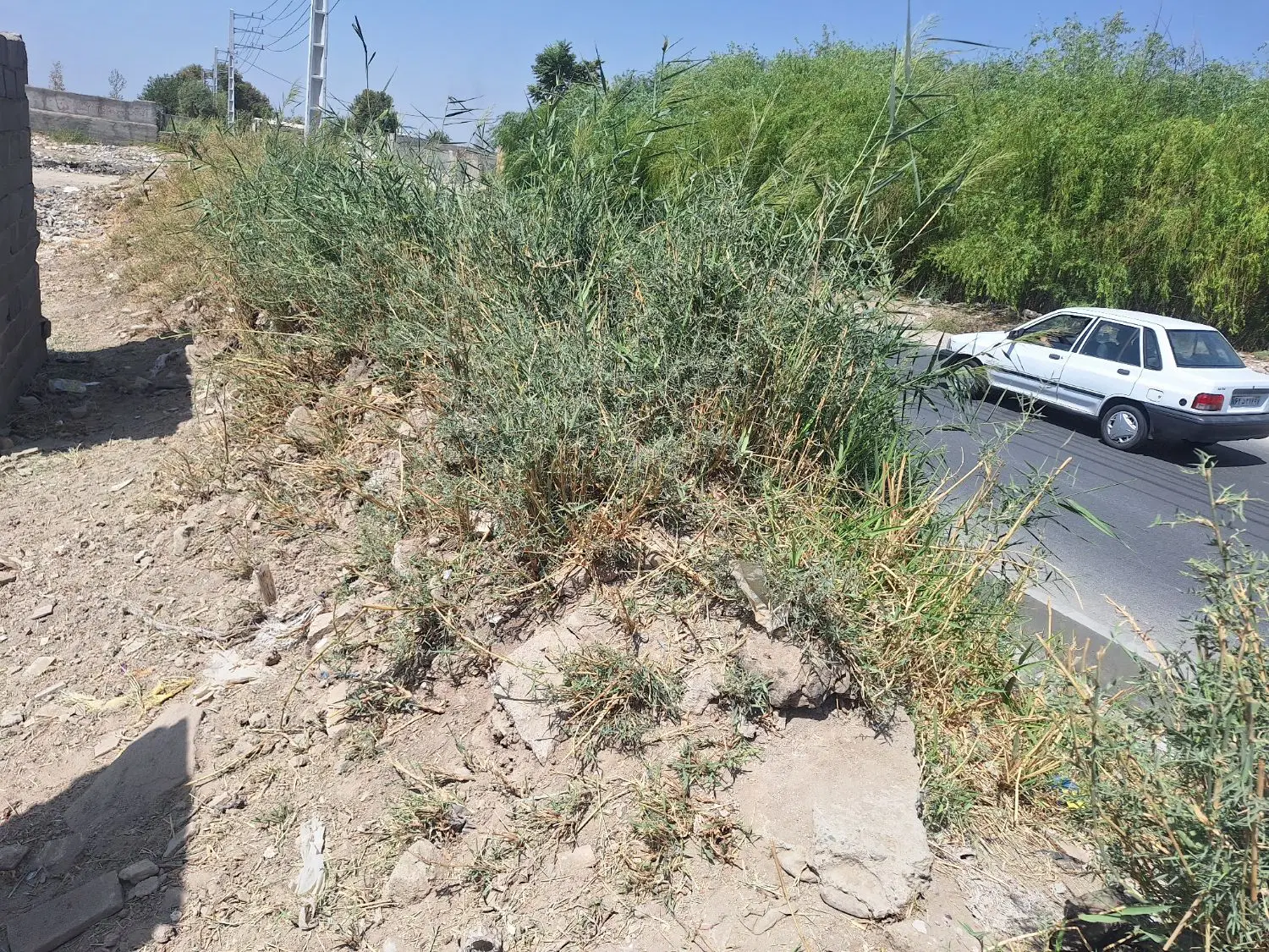 زمین چهار دیواری بهر خیابان ۲۵ متری
