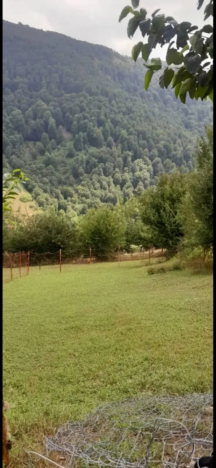 ۲۷۳ زمین ییلاق لوئیم