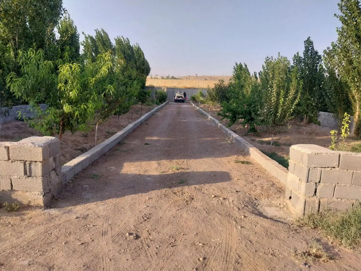 باغچه تهاتر با مغازه