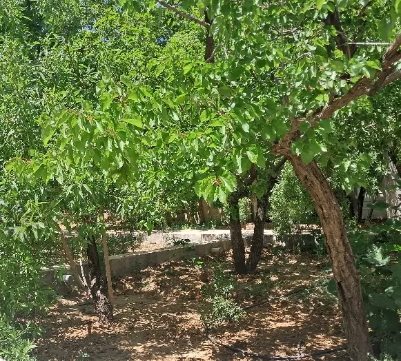 خانه ویلایی تنگ چنار زیر قیمت کارشناسی
