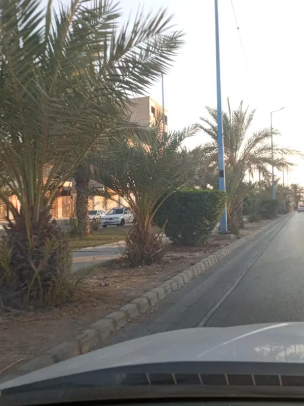 زمین واقع در مجنون