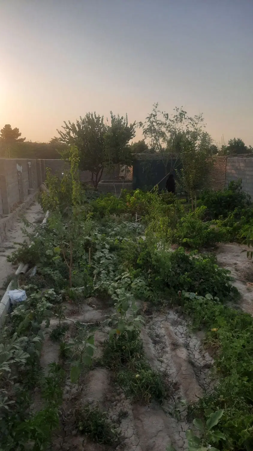 باغ  سرسبز داخل بافت روستایی