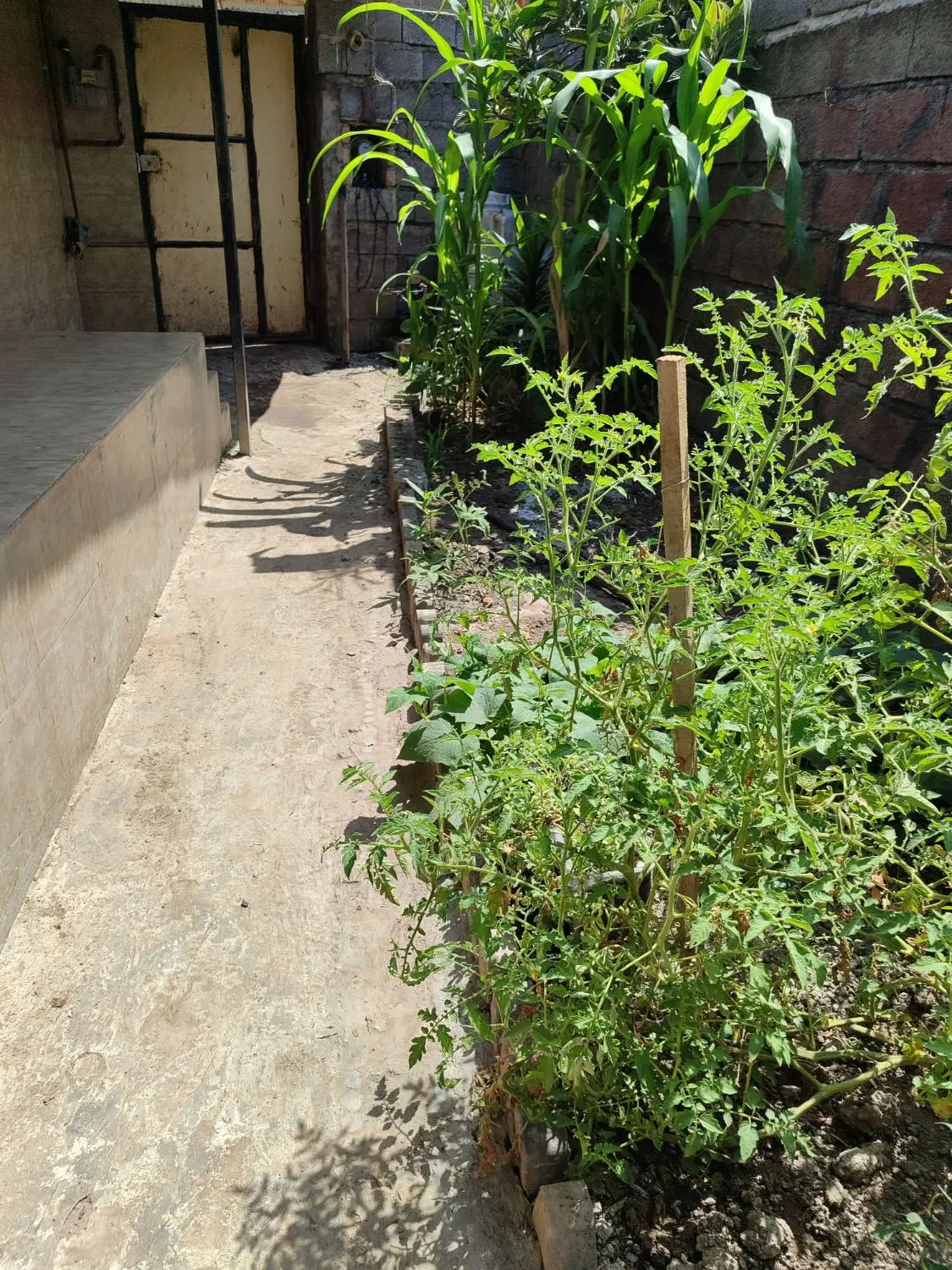 فروش خانه ویلایی باسندتک برگ