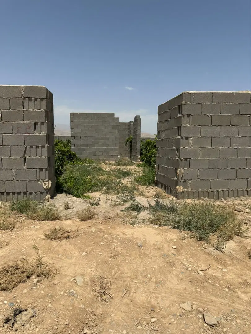 باغچه فروشی