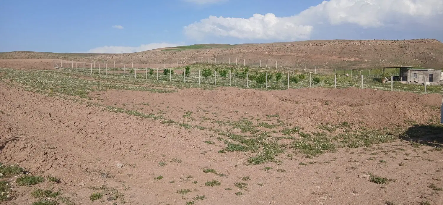 زمین باغ در جوواندیز