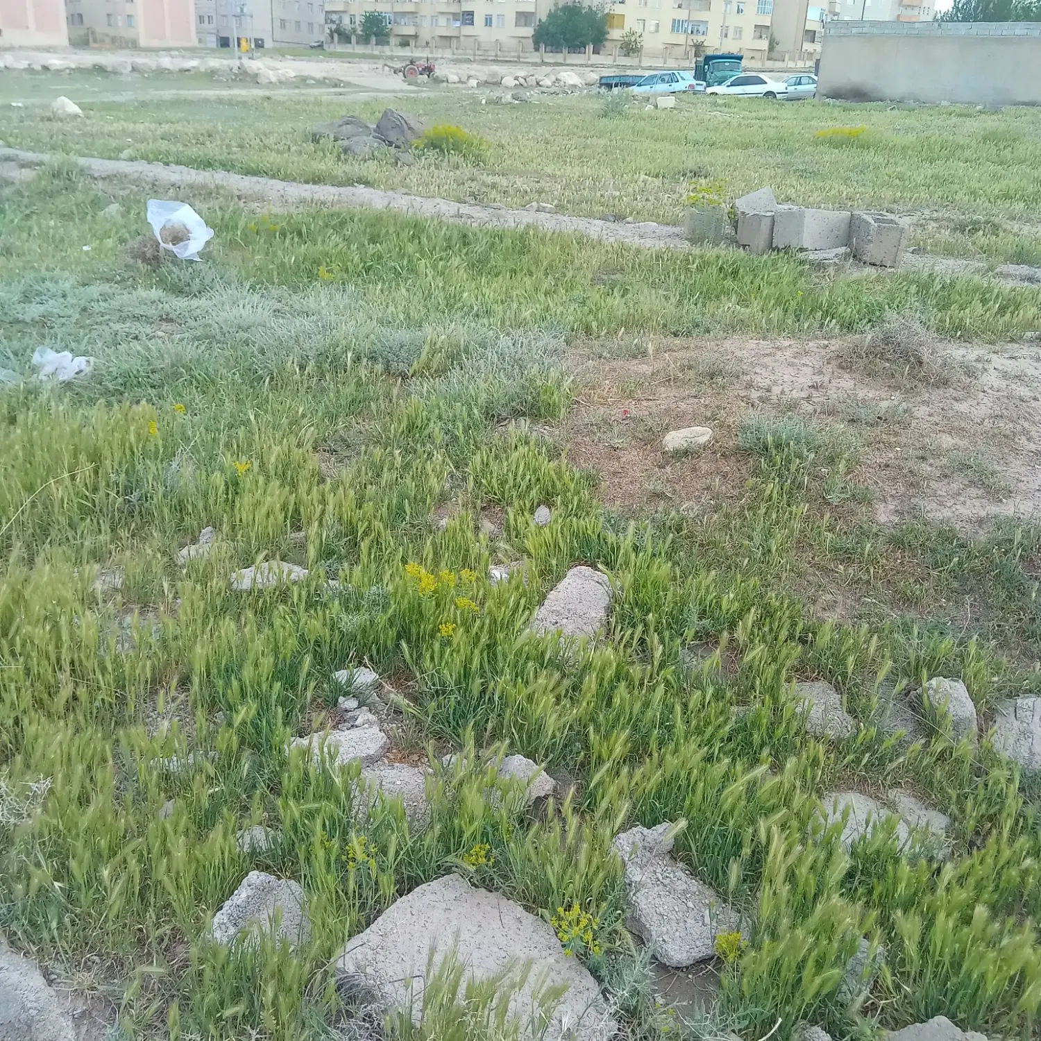 زمین ۱۰۰متری قولنامه ای نزدیک کارشناسان