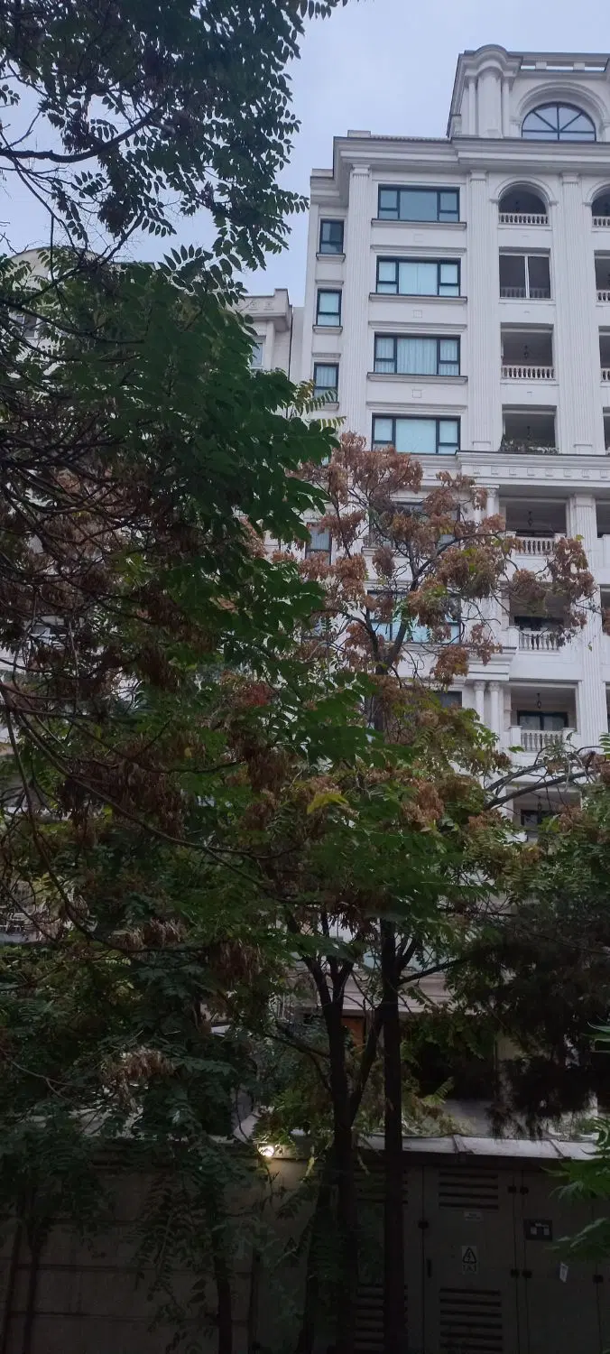 همخانه ، سعادت آباد