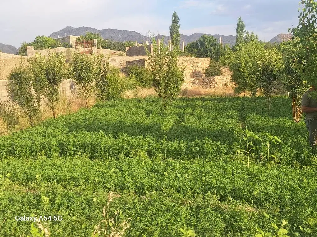 زمین سنددار 1400متری خبر بافت