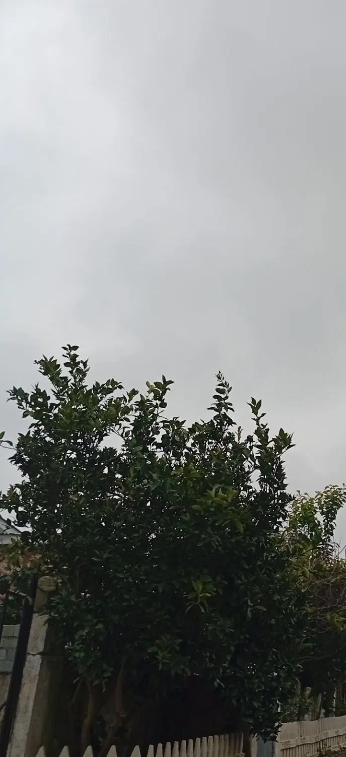 خانه 3طبقه قدیم ساخت